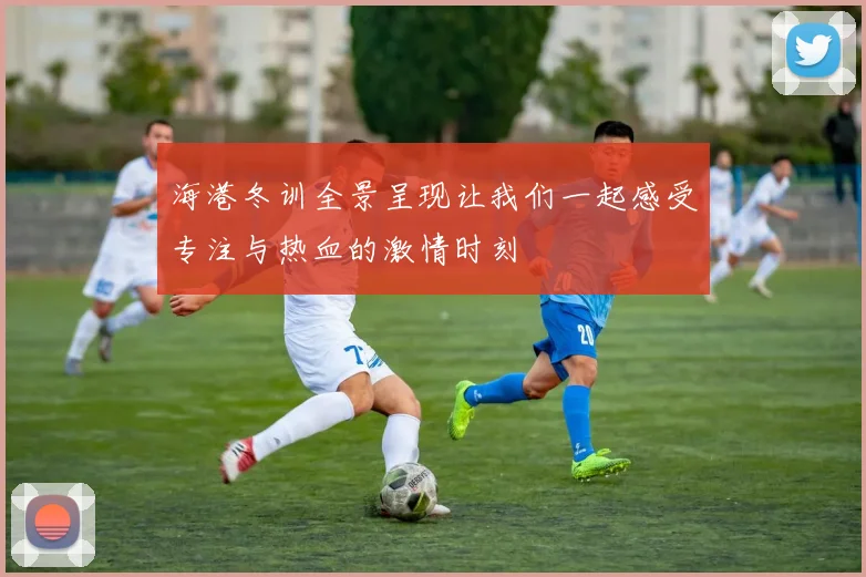 海港冬训全景呈现让我们一起感受专注与热血的激情时刻