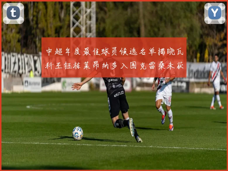 中超年度最佳球员候选名单揭晓瓦科王钰栋莱昂纳多入围克雷桑未获提名