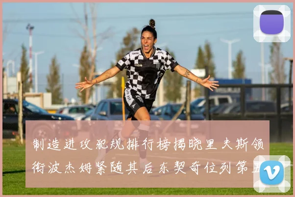 制造进攻犯规排行榜揭晓里夫斯领衔波杰姆紧随其后东契奇位列第五
