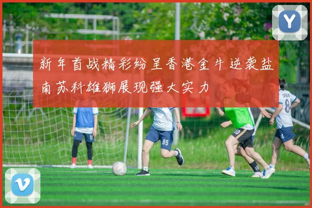 新年首战精彩纷呈香港金牛逆袭盐南苏科雄狮展现强大实力