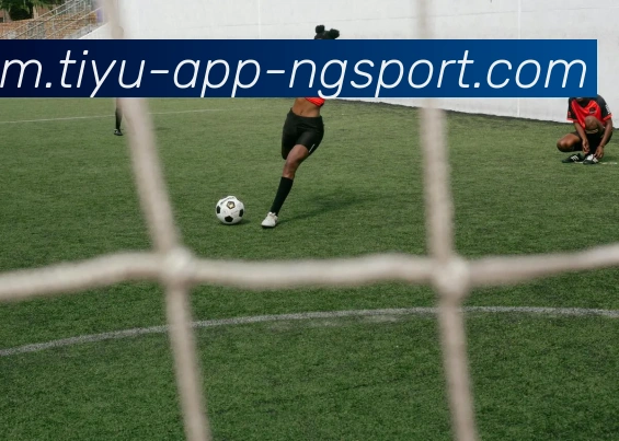 南宫体育平台生态图